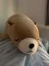 LIV HEART北极熊睡觉抱枕毛绒儿童玩具熊娃娃公仔陪睡抱睡大玩偶礼物女 【经典款】曲奇熊 L号（尺寸见详情） 实拍图