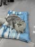 乐优派宠物冰垫猫窝猫垫狗垫夏季凉席凉垫子冰窝防水 方形65*50cm 实拍图