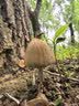 得力（deli）激光测距仪高精度红外线测量仪家用测量装修电子尺激光尺50m 实拍图