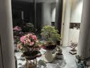 小匠材花架客厅落地式铁艺立柱植物摆放架花盆托层置物架阳台黑白30*80 实拍图