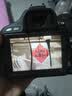 佳能/Canon 600D 700D 750D 760D 800D 850D二手单反相机新手学生入门旅游高清相机 600D+50/1.8 STM【小痰盂套机】 99新 实拍图