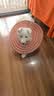 宝路狗粮 成犬狗粮中大型犬牛肉味15斤金毛哈士奇全价粮7.5kg 实拍图