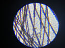 科学罐头（Science  can）六一儿童节礼物显微镜生日学生便携男女孩6-12岁益智玩具户外礼盒 实拍图