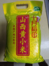 十月稻田 山西黄小米5斤 25年新米 小米黄小米 小米杂粮 早餐 粥 节日送礼 实拍图