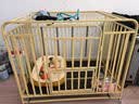 梵昇昱狗笼子中小型大型犬家用围栏狗笼室内分离带厕所猫咪兔子大型猫窝 三面加粗方管【黄色】 110*72*95cm（建议50斤内狗狗） 实拍图
