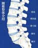 诺泰（nuotai）医用级护腰带腰间盘突出腰肌劳损椎托腰部支撑专用男女F06三代XL 实拍图