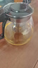【京东物流】茶壶套装整套茶具大容量玻璃茶杯带滤网耐高温泡茶具 1000ML泡茶壶 1个 实拍图