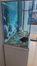 森森（SUNSUN）大型鱼缸底过滤水族箱客厅家用落地玻璃生态金鱼缸 超白款升级底滤 1.2米长42cm宽（黑白灰可选） 实拍图