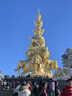 吉香居香辣海带丝88g*5袋凉拌海带丝 即食咸菜零食佐餐早餐下饭小菜 实拍图