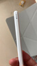 Apple/苹果 Pencil(USB-C) 磁吸触控笔手写笔苹果笔电容笔iPad笔 适用iPad 11/mini/Pro/Air 实拍图