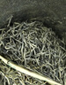 一杯香茶叶绿茶明前头芽毛尖茶250g2026新茶春茶礼盒装自己喝散装茗茶 实拍图