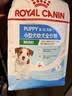 皇家狗粮 幼犬狗粮 宠物 小型犬 MIJ31 全价犬粮 2-10月 2KG 实拍图