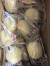 港荣蒸蛋糕奶香480g面包饼干纯蛋糕早餐零食糕点甜品下午茶儿童节礼物 实拍图
