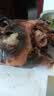 羊头肉4斤八成熟整箱羊脸肉卤全无骨去骨整个新鲜生羊头整只熟食 去骨花羊头肉【4斤装】 实拍图