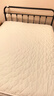 洁丽雅（Grace）夹棉床笠单件新款床笠抗菌A类床罩床单床垫套防滑保护套防尘罩 娴雅-白【A类抗菌】 150cm*200cm 【单床笠】 实拍图