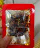 遛洋狗麻辣牛肉500g青花椒味零食四川特产老成都五香牛肉干小吃 麻辣1斤 实拍图