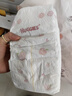好奇（Huggies）铂金装小桃裤纸尿裤XL96片(12-17kg)加大号尿不湿透【透爽散热】 实拍图