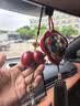 铜欣祥彩铜七彩葫芦挂件车载挂件书房玄关装饰品 葫芦+挂绳+礼盒（赤） 实拍图