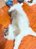 麦富迪猫粮 超肉粒冻干双拼成猫粮美毛护肠三文鱼10kg/20斤【宠物金选】 实拍图