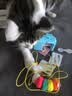 皇佳宠猫玩具猫咪电动悠悠球智能挂门自动升降逗猫棒自嗨解闷猫咪玩具 实拍图