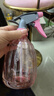 喷壶浇花浇水喷雾器气压式喷水壶家用园艺养花500ml 南瓜喷壶透粉【1个装】 实拍图