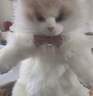 Chongker宠客米努特猫咪背包仿真拿破仑猫公仔毛绒玩具送女朋友生日礼物 实拍图
