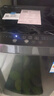 美的（Midea）【价保618】随心洗波轮洗衣机全自动 10公斤直驱变频 专利免清洗 MB100V36DT 以旧换新 补贴 自营 实拍图