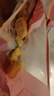 正大原味鸡块2斤酥脆鸡块 鸡胸肉鸡肉鸡块半成品炸鸡配番茄 实拍图
