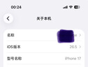 Apple/苹果 iPhone 17 256GB 白色 支持移动联通电信5G 双卡双待手机 实拍图