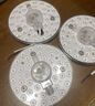 雷士（NVC）led灯盘吸顶灯替换灯芯圆形灯管灯条贴片灯板12瓦白光6500K 实拍图