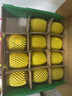 佳沛（zespri）新西兰金果4粒单果约103-114g 猕猴桃端午节礼物水果礼盒源头直发 实拍图