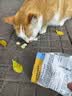 爱立方冻干生骨肉冻干猫零食成猫冻干主食冻干小鲜砖鲜粮优先发 小鲜砖冻干（鸡肉配方）10g*3 实拍图