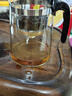 飘逸壶泡茶壶耐热高温玻璃沏茶过滤内胆冲茶器家用茶具套装 飘逸杯500mL1个 实拍图
