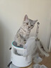 霍尼韦尔（Honeywell）宠物空气净化器价保618吸猫毛除过敏源猫猫搭子 猫毛净化器杀菌消毒除异味KJ360F-C22W 实拍图