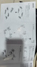 Brateck北弧 洗衣机底座 冰箱底座架 洗衣机支架滚筒洗衣机托架移动架垫高架子海尔小天鹅西门子美的WM12D 实拍图