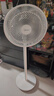 美的（Midea）电风扇 家用七叶立式落地扇宿舍卧室轻音节能摇头桌面小风扇大风力空气循环风扇 SAF30AC 实拍图