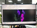 AOC显示器 IPS电脑显示屏幕 旋转升降 办公学习护眼低蓝光 台式拓展笔记本外接扩展屏23.8英寸24P10Q 实拍图