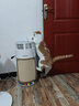 霍尼韦尔（Honeywell）宠物空气净化器价保618吸猫毛除过敏源猫猫搭子 猫毛净化器杀菌消毒除异味KJ360F-C22W 实拍图
