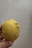 京喜加安岳黄柠檬泡水喝 新鲜水果  清香浓郁细腻 带箱3斤大果（单果150g+） 实拍图