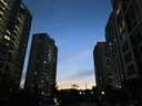 味滋源 马卡龙夹心饼干酸奶味白桃味小包装网红甜点心早餐饼干节日送礼 马卡龙饼干2箱共1000g 实拍图