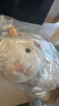 伽百利毛绒玩具小羊玩偶羊玩偶送女友生日礼物公仔儿童女生女孩礼物 安吉尔 白趴羊25cm 实拍图