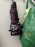 天堂伞 加大雨伞三折 经典商务伞格纹10骨加大雨伞男女 暗紫红 实拍图