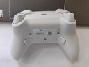 飞智冰原狼4多模版无线游戏手柄 类xbox 力调节摇杆双切扳机 switch电脑PC手机steam体感NS 仁王3 实拍图