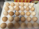 3M新车除甲醛除异味 车内除味除臭活性炭包汽车车载空气净化器38200 实拍图