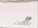 骆驼（CAMEL）黑胶天幕帐篷新型户外露营装备全套野营免搭建防晒遮阳棚布 实拍图