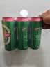 青岛啤酒（TsingTao）经典拉格 浓郁麦香500ml*24罐 整箱装 618超市热卖端午节送礼 实拍图