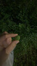 小米（MI）REDMI Buds 8 青春版 真无线蓝牙降噪耳机 入耳式 适用于安卓苹果手机 云棉白 实拍图