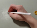 Apple/苹果 Pencil Pro 磁吸触控笔手写笔苹果笔电容笔书写绘画ipad笔 适用于iPad Pro/Air/mini机型 实拍图
