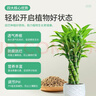 史丹利黄金软麦饭石颗粒铺面多肉养花专用绿植通用土壤盆栽拌土石5斤 实拍图