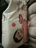 好奇（Huggies）铂金装小桃裤纸尿裤L120片(9-14kg)大号尿不湿【透爽散热】 实拍图